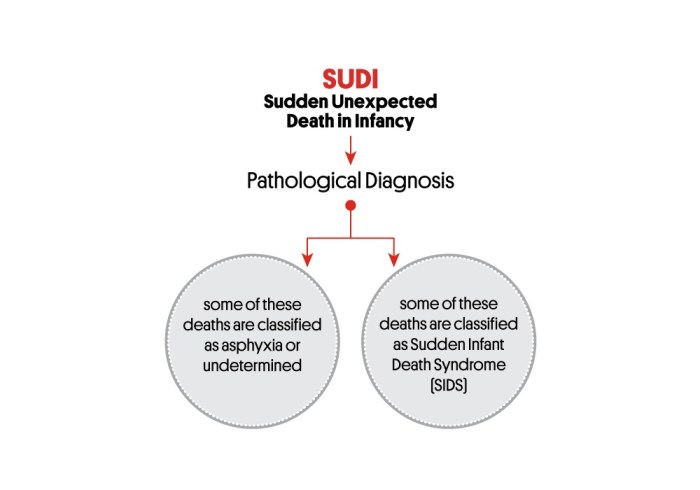 Sud medical abbreviation