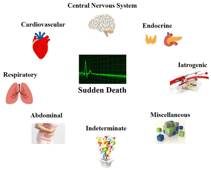 Classification unexpected sudden sudi deaths