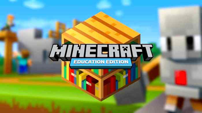 3D Minecraft for Education