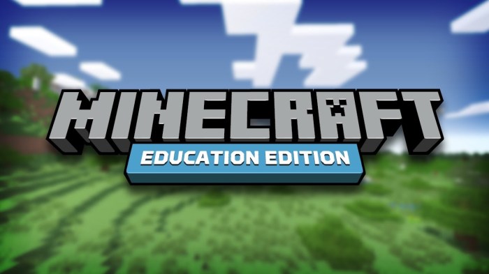 3D Minecraft for Education